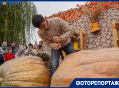 Гигантскую тыкву весом 323 кг вырастил волгоградский фермер 