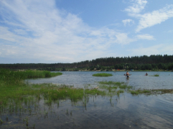 5 млн рублей потратит администрация на разработку проектной документации  реабилитации засыхающего озера Лебяжье в Урюпинске