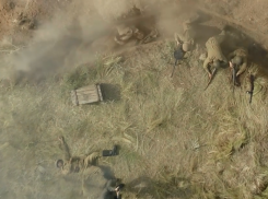 Сотрудники Волгоградской ГАИ сняли настоящий блокбастер о коллегах