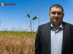 Фигуранта громкого скандала о хищении денег по нацпроекту «Экология» оставили под арестом