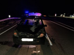 В Волгоградской области два человека погибли в ДТП 