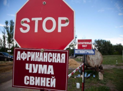 Среднеахтубинский район отделили от Волгограда карантинными постами