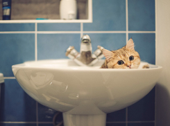 Три района Волгограда и Городище на выходных останутся без воды