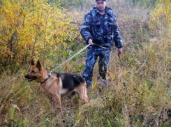 В Камышине мужчина из ревности задушил подругу своей сожительности