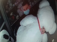 Дерзкий похититель плюшевого медведя в Волгограде попал под прицел камер видеонаблюдения