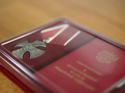 Двух волгоградских бойцов посмертно наградили орденом Мужества