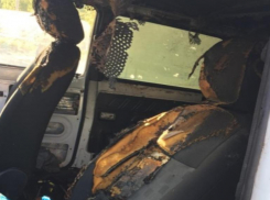 Как в кино: 19-летний рецидивист из Волгограда поджег чужую машину ради эффектного взрыва