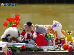 «Мы все чувствуем боль»: знаменитые волгоградцы выразили соболезнования после теракта