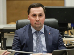 Лидер волгоградской ЛДПР заступился за приговоренный к сносу стадион