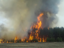 В Волгоградской области борются с лесными пожарами