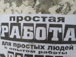 «Хотят мало работать и много получать»: волгоградские кадровики о соискателях