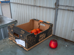 Дачные участки начнут изымать в Волгограде с 1 марта