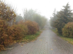 Дождь и «плюс» не дают волгоградцам ощутить новогоднее настроение