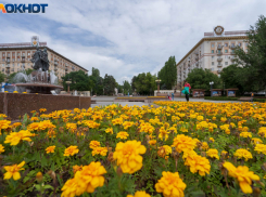 Кратковременный дождь и гроза ожидают волгоградцев в понедельник