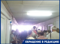 Об адских очередях в поликлинику при нехватке вакцины от бешенства заявляют искусанные на набережной в Волгограде