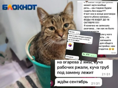 Народный бунт в чатах зреет из-за массового отключения горячей воды в Волгограде