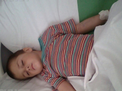 Укушенный гадюкой 4-летний мальчик рискует вновь попасть в волгоградскую больницу