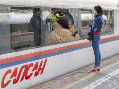 Скоростной сапсан исчезает из Волгоградской области