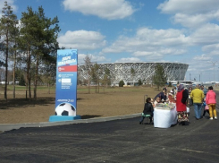 Модные лекарственные травы посадят в ЦПКиО в центре Волгограда