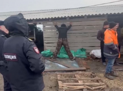 Массовая облава с дронами на мигрантов прошла в волгоградских теплицах