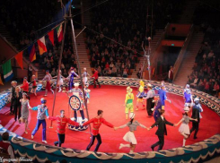 Билеты в Волгоградский цирк могут подорожать в 2 раза 