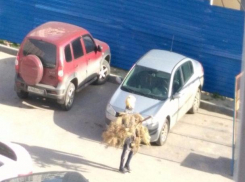 Волгоградка в канун Первомая вынесла елку