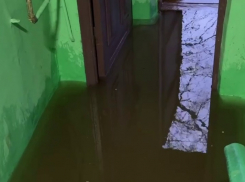 «Будем выходить в болотниках»: коммунальная авария затопила подъезд в Волгограде