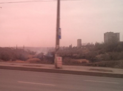 Пожар в пойме Царицы ликвидирован
