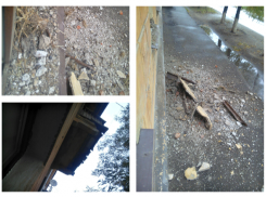 Балкон рухнул с высоты на тротуар на юге Волгограда