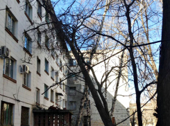 Управляющая компания «ЖЭК» три дня не убирает упавшее на дом дерево в Волгограде