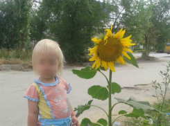 В Волгограде врачи отказались принять отравившуюся противозачаточными таблетками 3-летнюю девочку