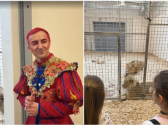 Закулисье волгоградского цирка показали зрителям после ремонта за два миллиарда