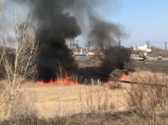 Волгоградцы готовятся к жаркому лету поджогами травы