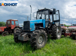 В Волгограде назвали отрасль, пережившую коронавирус с хорошей прибылью