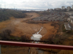 Уфолог объяснил происхождение пугающих кругов в камышах на севере Волгограда  