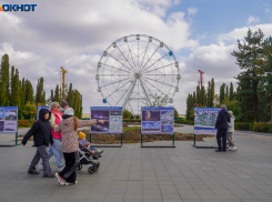 Небольшой дождь и ночное похолодание: погода в Волгограде на 15 октября 