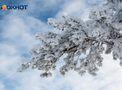 Первый снег пророчат Волгограду через неделю