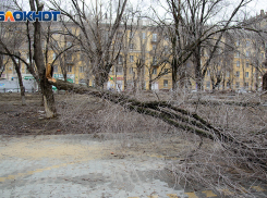 Разрушительную силу ветра запечатлел волгоградский фотограф 