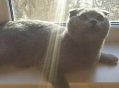 Воскресенье пройдет в Волгограде тепло и солнечно