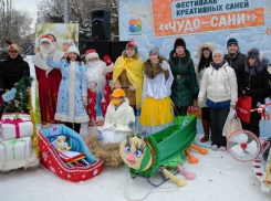 Чудо-сани удивили волгоградцев в Комсомольском саду