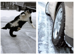 МЧС предупреждает волгоградцев о гололеде 