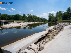 Пустыня и кладбище мертвых сосен: ерики гибнут в Волго-Ахтубинской пойме