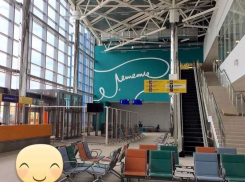 Волгоградцы обсуждают сходство вывески в новом терминале аэропорта с мужским достоинством