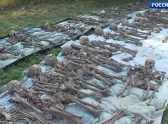 Полсотни человеческих останков нашли на стройке под Волгоградом