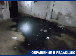 «Сидим в квартирах с комарами таких размеров, каких свет не видывал»: волгоградцы показали затопленный канализацией дом
