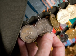 В Волгограде задержали 26-летнюю похитительницу медалей у ветерана