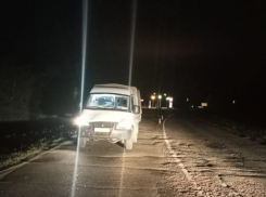 Водитель «Газели» насмерть сбил мужчину на трассе в Волгоградской области