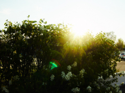 Ясная погода придет в Волгоград