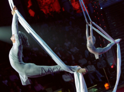 В цирке Волгограда получила травмы 7-летняя девочка 