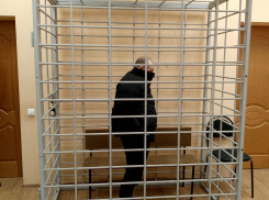 Оставил его умирать: сбежавшего с места ДТП волгоградца отправили в СИЗО